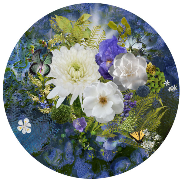 abstract digital art | botanical orbs | anne jeffery